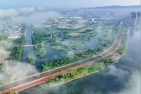 荣成：夏日湿地美如画图片