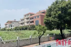 广东佛山紫南村“蝶变” 背后的乡村治理图片