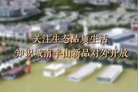 广州知识城南板块上新，推售半山低密新品图片