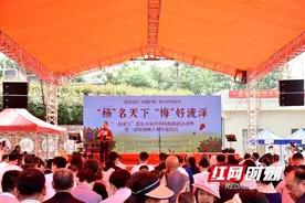 邵东：党建引领“杨”产业，两新助力“梅”致富图片