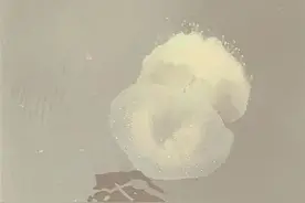 有剧毒，看到立即远离！浙江一地突然出现图片