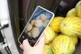 广西贵港：田里盛开“科技花”家门口俏销致富果图片