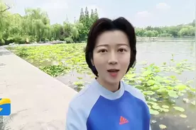 济南大明湖荷花含苞待放 七月至八月最宜观赏图片