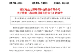 因涉嫌虚增营收和利润总额  力源科技及时任董事长等责任人被处罚图片