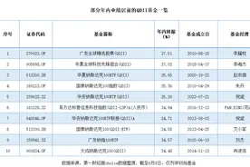 36只QDII年内回报率超30%，境外市场什么板块最“香”图片