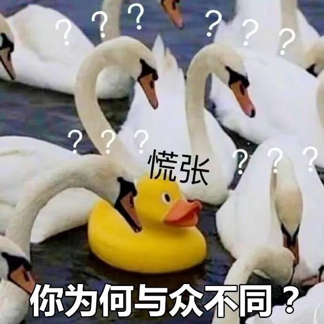 @闽A52L3J、闽A52M2V、闽A075AF……福州这些车辆强行“加塞”已被抓拍！