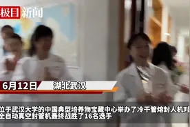 武汉大学一场“人机对抗赛”，胜者果然是……图片