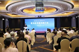 开建10年电影票房超230亿，青岛影视基地亮相上海国际电影节图片