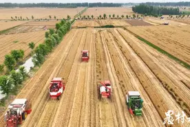 提档升级看麦收·良机|机收减损有信心！兖州定下减损“小目标”图片