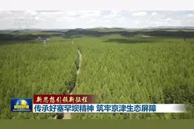 【新思想引领新征程】传承好塞罕坝精神 筑牢京津生态屏障图片