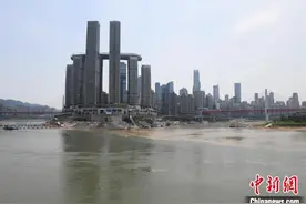 重庆两江交汇现“鸳鸯锅”景观图片