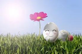 维生素D普遍不足？日光照射、合理膳食都很重要图片