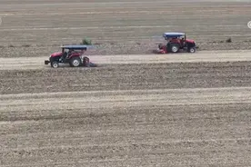 央媒观豫｜河南省麦收基本结束 已完成夏播面积占预计面积超九成图片