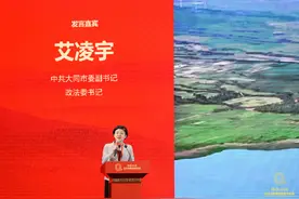 大同市委副书记、政法委书记艾凌宇：小黄花铺就“金色”致富路图片