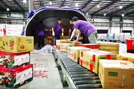 助“荔”运输 深圳机场保障超3500吨岭南荔枝空运高峰图片