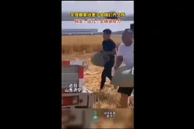 丈母娘家收麦子女婿们齐上阵，网友：这几个女婿很给力图片