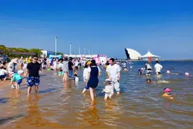 可以真正拥抱大海了！奉贤碧海金沙下周二开泳，这份下海游泳小贴士请查收图片