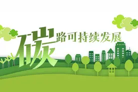 光伏行业洗牌在即：龙头企业如何跨越周期图片