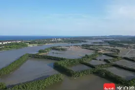 琼海4个海洋生态保护修复项目进展顺利图片
