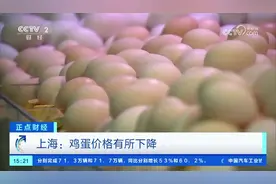 供应充足，上海蛋价有所下降！专家：将进入产量下滑周期图片