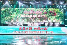 高端荔枝出东莞！东莞荔枝文化节来了，与你甜蜜相约图片