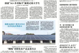 漳州：让盐碱地稻花飘香图片