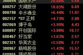国联水产录得20%涨停，与沙特主权财富基金亚洲区签署谅解备忘录图片
