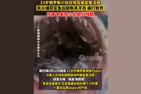 俄23岁男子游泳时被鲨鱼活吞：胃中发现小伙部分残骸图片