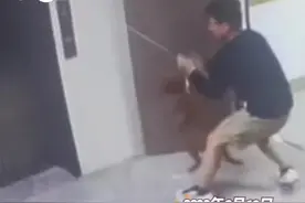 温暖山东丨狗狗牵引绳被上升电梯门夹住，男生扔下手机飞奔解救图片