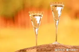 饮一杯诗意图片