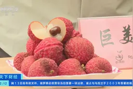 荔枝界“巨无霸”！每颗重量接近鸡蛋大小，味道如何？图片