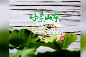 果然视频·好景山东|抓拍！济南动物园池鹭捕鱼，一口一个稳准狠图片