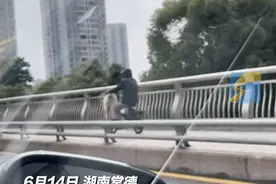 男子钓到大鱼 连人带车被鱼甩翻图片