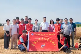 果然视频丨走进田间免费帮忙收割，让学生体验麦收辛劳图片