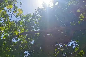 最高40.7℃！河北9地高温40℃+，其中石家庄有7地……图片