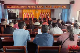 溆浦县低庄镇：持续开展“三好一户”评比 建设和美乡村图片