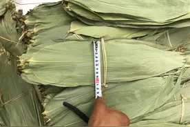 干粽叶加硫酸铜秒变鲜粽叶？端午将至多款鲜粽叶铜含量超标图片