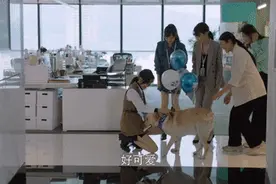 第一次见未来丈母娘，靳时川怎么就“翻车”了图片