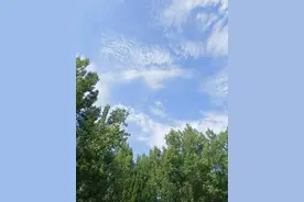 青未了 | 碧海云天夏日长图片