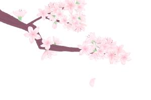 预告 | 董上德:《桃花扇》的特色与魅力图