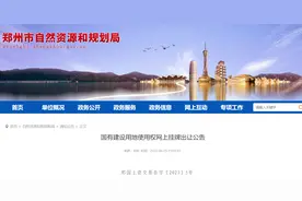 郑州市挂牌出让国有建设用地使用权图片