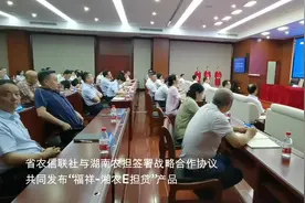 视频丨湖南首款纯线上银担产品“福祥-湘农E担贷”上线图片