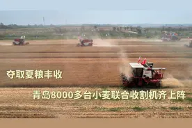 平均降水偏少两成、气温偏高1.4℃，青岛发布今春气候影响评价图片