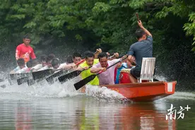 番禺“睇龙船”最全指南来了！哪项活动是你最期待的？图片