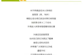 警方通报球迷冲进球场抱梅西：已满18岁，行拘！图片