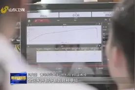 打造乡村振兴齐鲁样板丨科技小院孵育致富大鹅图片