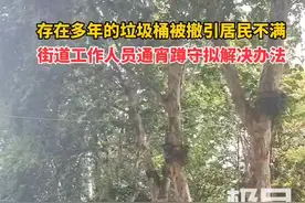 极目帮办|设置十多年的垃圾桶被撤引居民不满，街道工作人员通宵蹲守寻找“噪音源”图片
