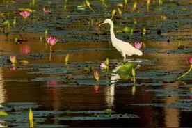 上海市市级土地整治项目政策文件汇编图片
