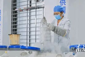备孕期男性注意！至少3个月要尽量避免这些有害因素图片