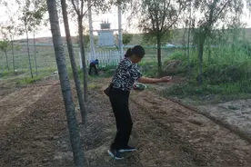 “金蝉”带来好“钱”景图片